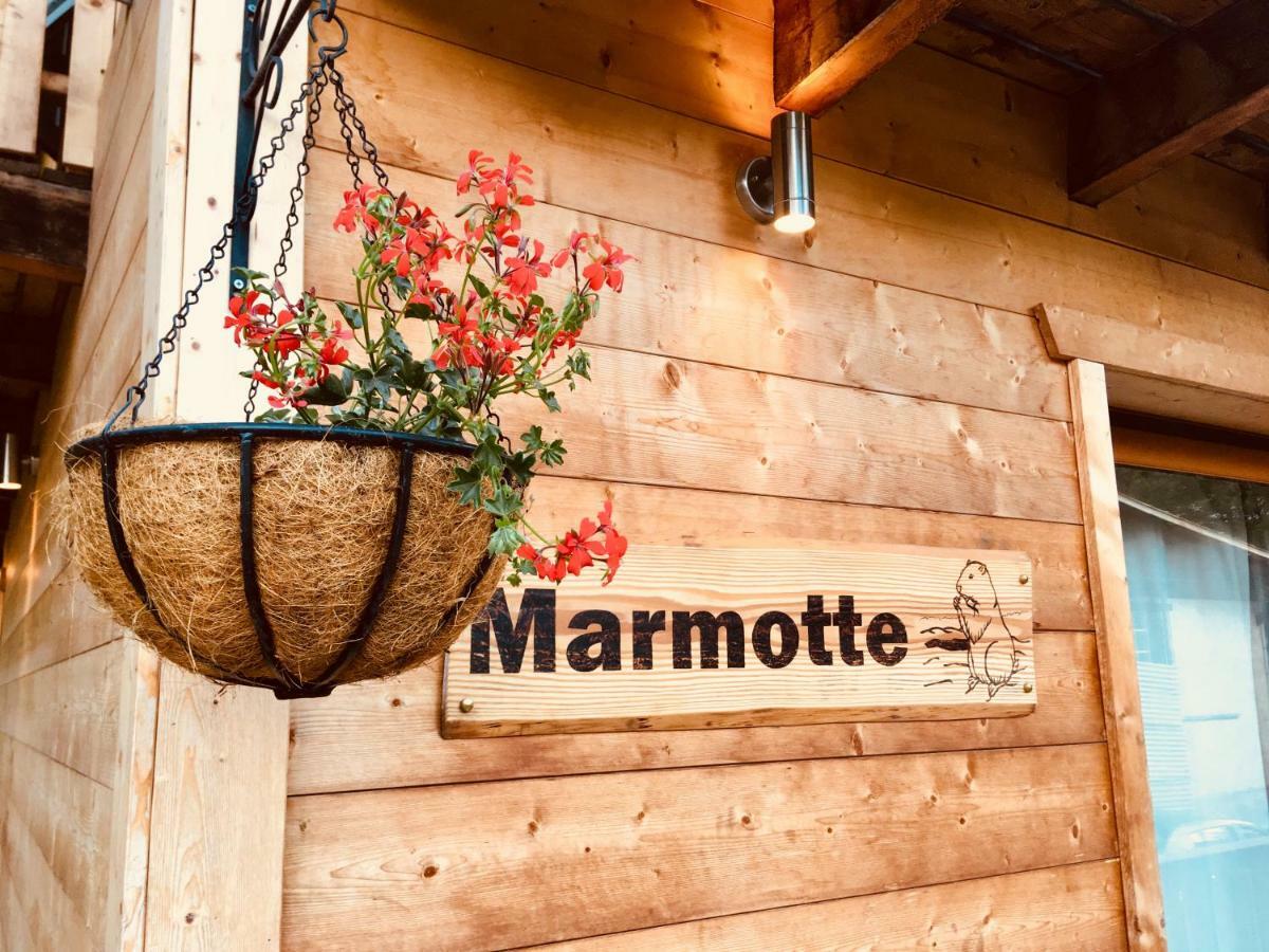 Chalet Marmotte 2 Morzine Exterior photo